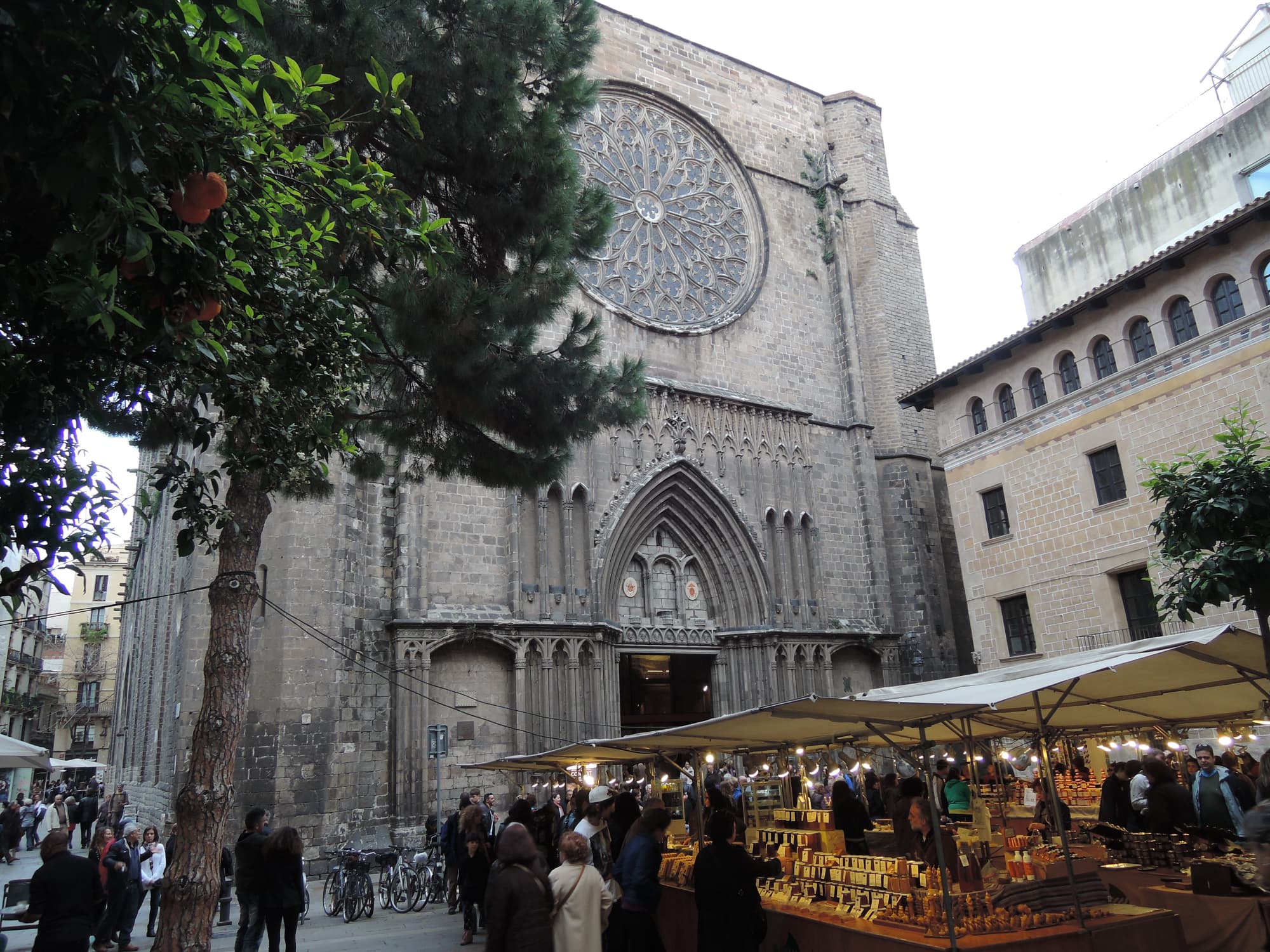Gotoco in Barcelona