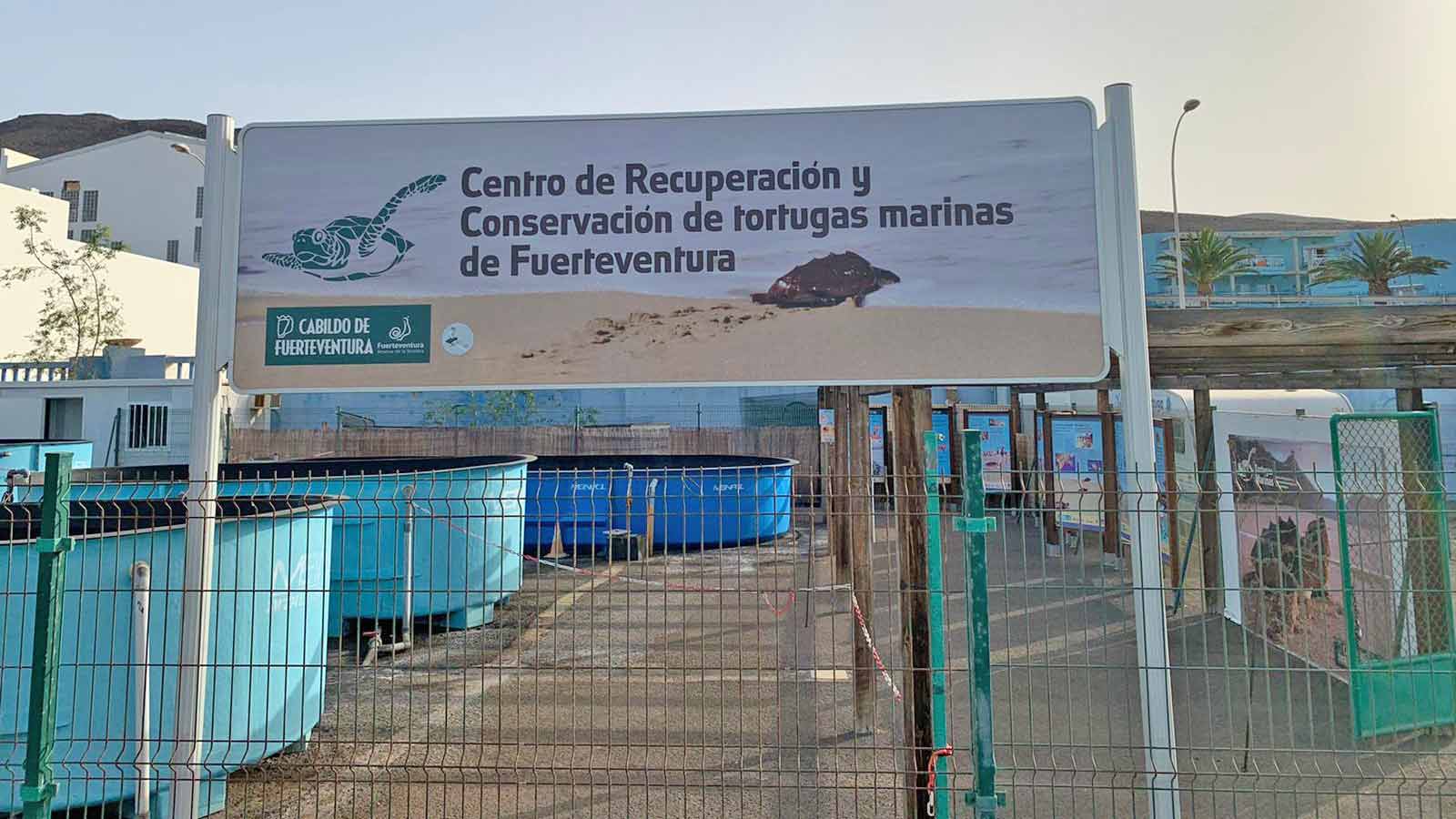 Schildkrötenstation-Fuerteventura