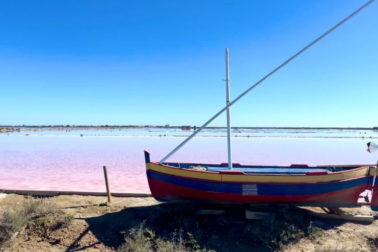 Gruissan bei Narbonne – ein Stück Natur hautnah erleben Gruissan, Narbonne Reise Ausflug Saline (3)