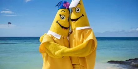 Starky-and-Stella von Iberostar Starky-and-Stella von Iberostar