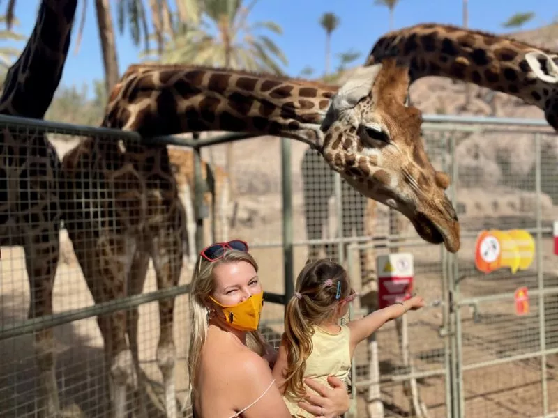 Urlaub auf Fuerteventura mit Kindern (13) Urlaub auf Fuerteventura mit Kindern - Oasis Park mit Kindern