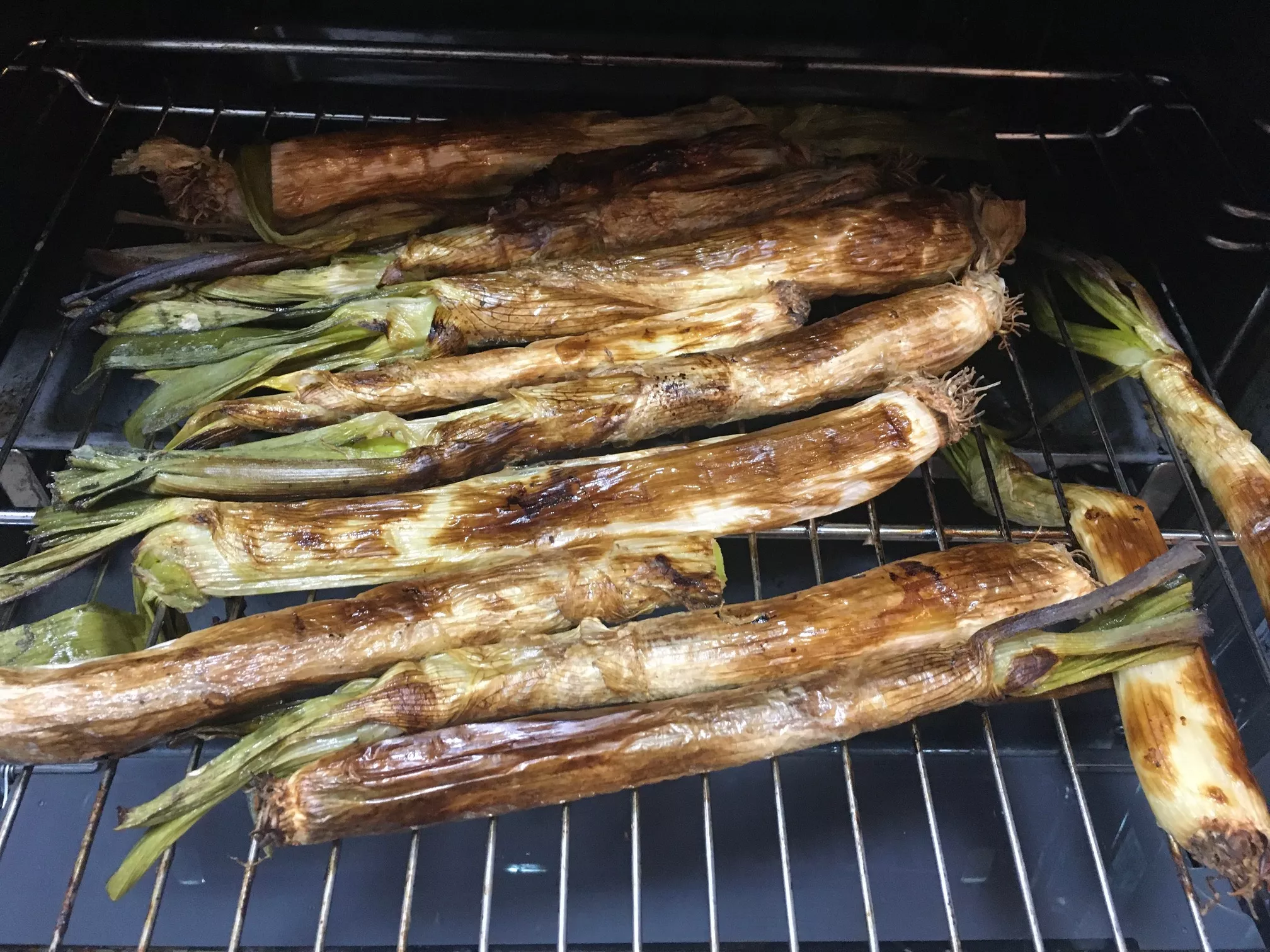 calcots-gegrillte-zeibeln-romesco-sauce-katalonien-barcelona-winter (1)