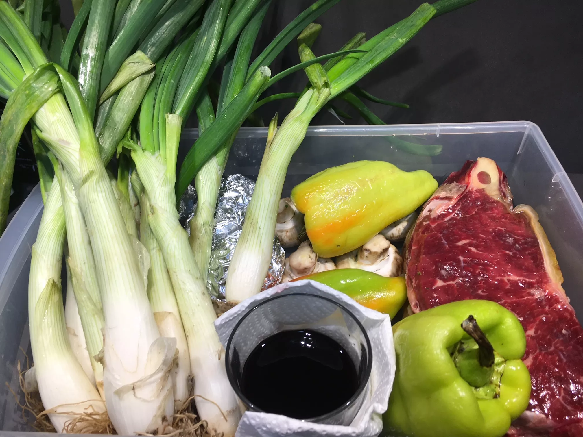 calcots-gegrillte-zeibeln-romesco-sauce-katalonien-barcelona-winter (2)