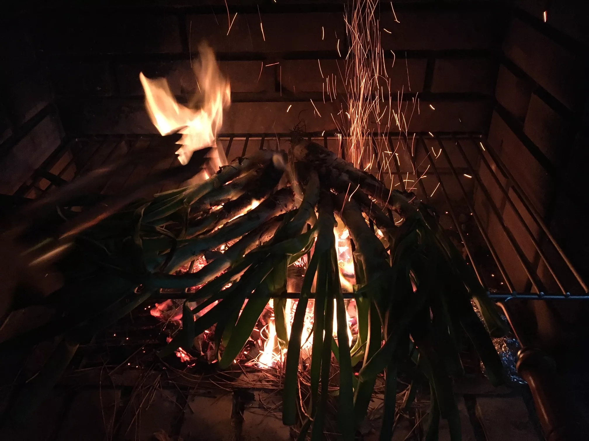 calcots-gegrillte-zeibeln-romesco-sauce-katalonien-barcelona-winter (3)