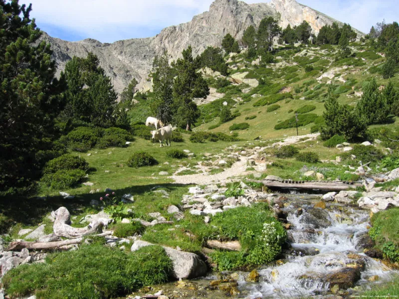 Setcases.-AKataloniens schönste Ausflugsziele Setcases.-AKataloniens schönste Ausflugsziele