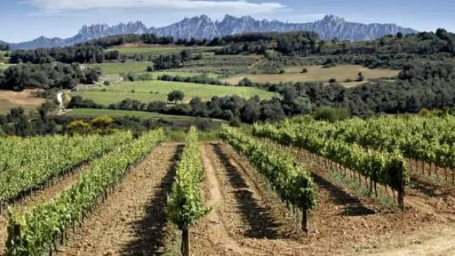 Vilafranca del Penedés- ausfluge barcelona Vilafranca del Penedés- ausfluge barcelona