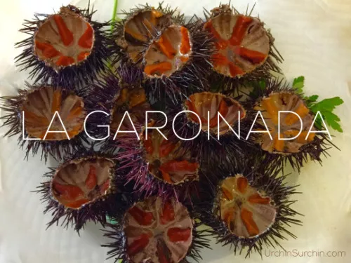 la garoinada in Palafruguell-ausflugsziele la garoinada in Palafruguell-ausflugsziele