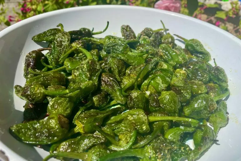Pimientos de Padrón: wie erkenne ich die echten? Pimientos de Padron