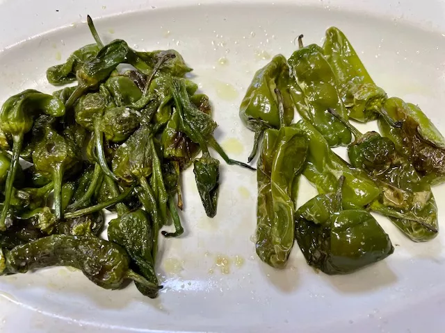 Pimientos de Padron die echten (1)