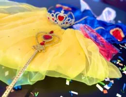 Prinzessinnen-Kostum als Geschenk2