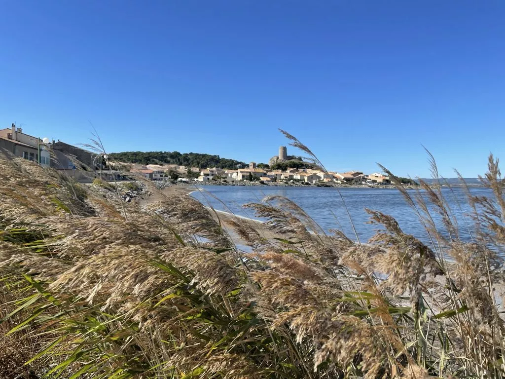 Gruissan, Narbonne Reise Ausflug Saline (1)