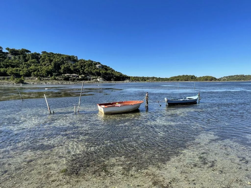 Gruissan, Narbonne Reise Ausflug Saline (2)