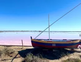 Gruissan, Narbonne Reise Ausflug Saline (3)
