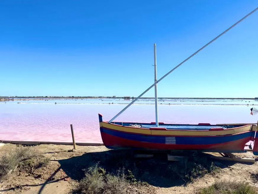 Gruissan, Narbonne Reise Ausflug Saline (3)
